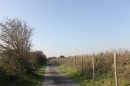 Sud Waben : direction GR120